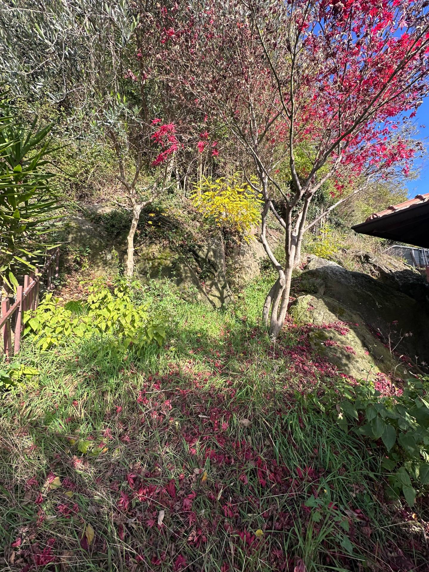 Appartamento in vendita a Sarnico