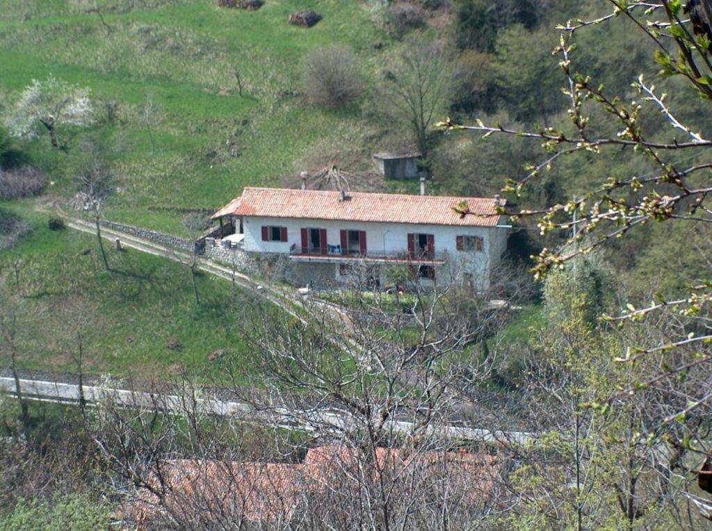 Casa singola in vendita a Parzanica