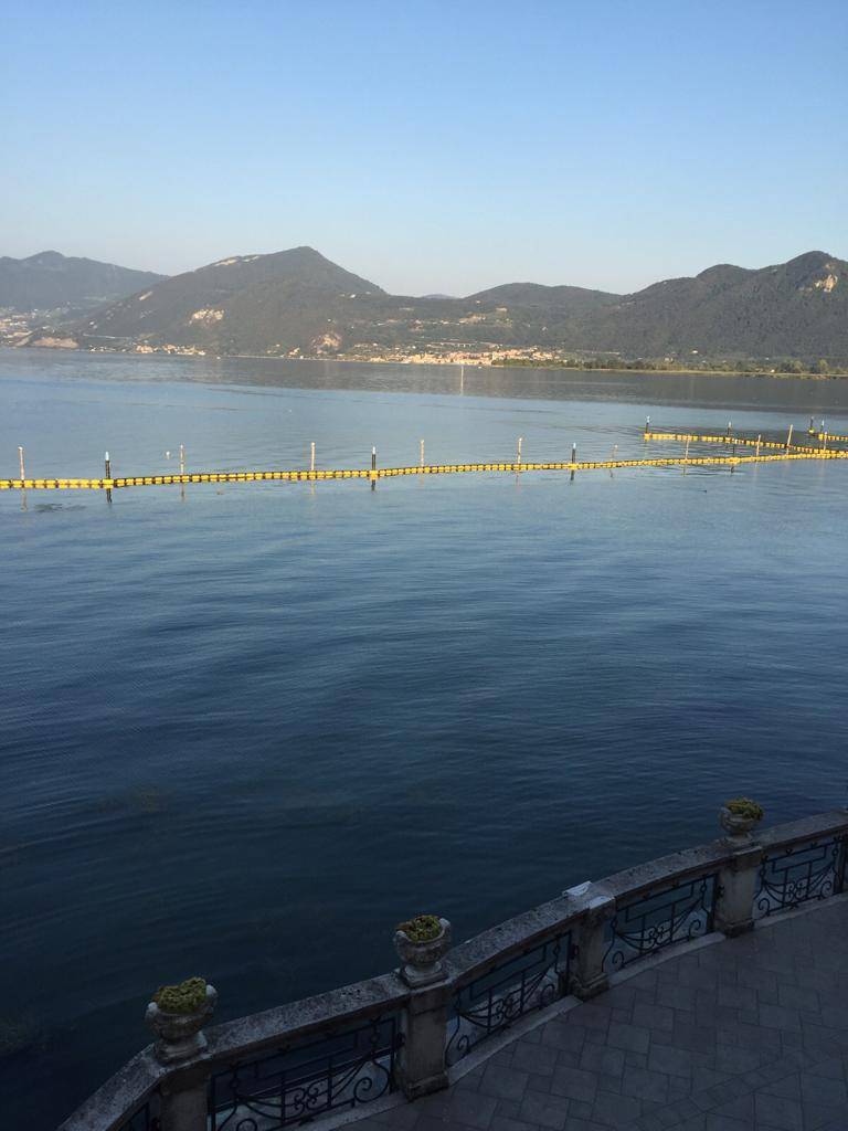 Appartamento in affitto a Iseo