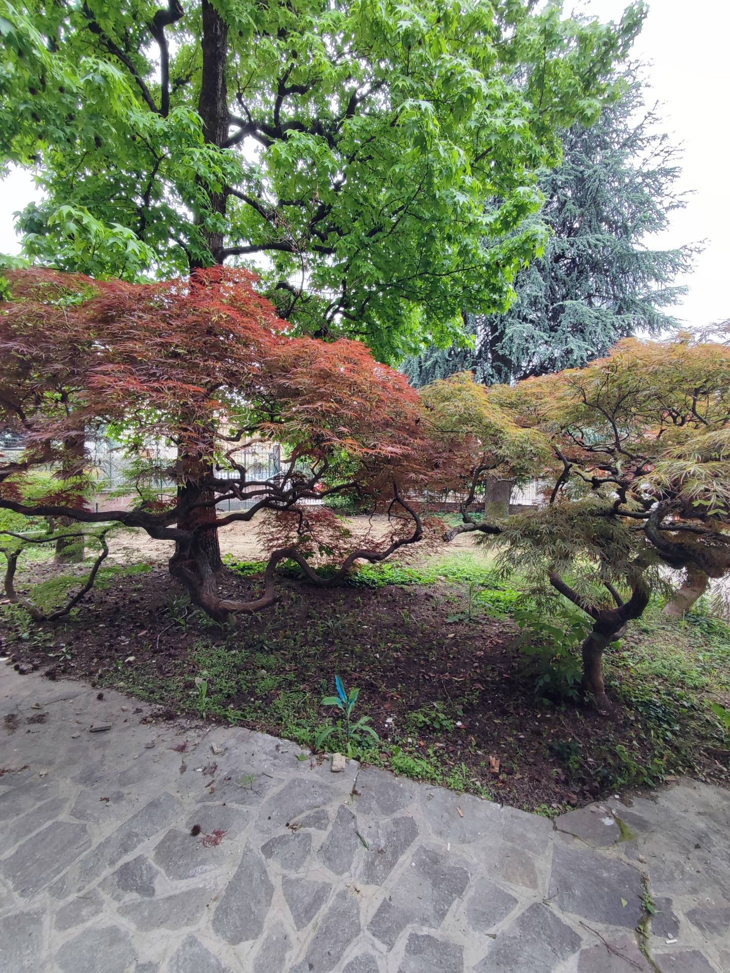Appartamento in affitto a Grumello del Monte