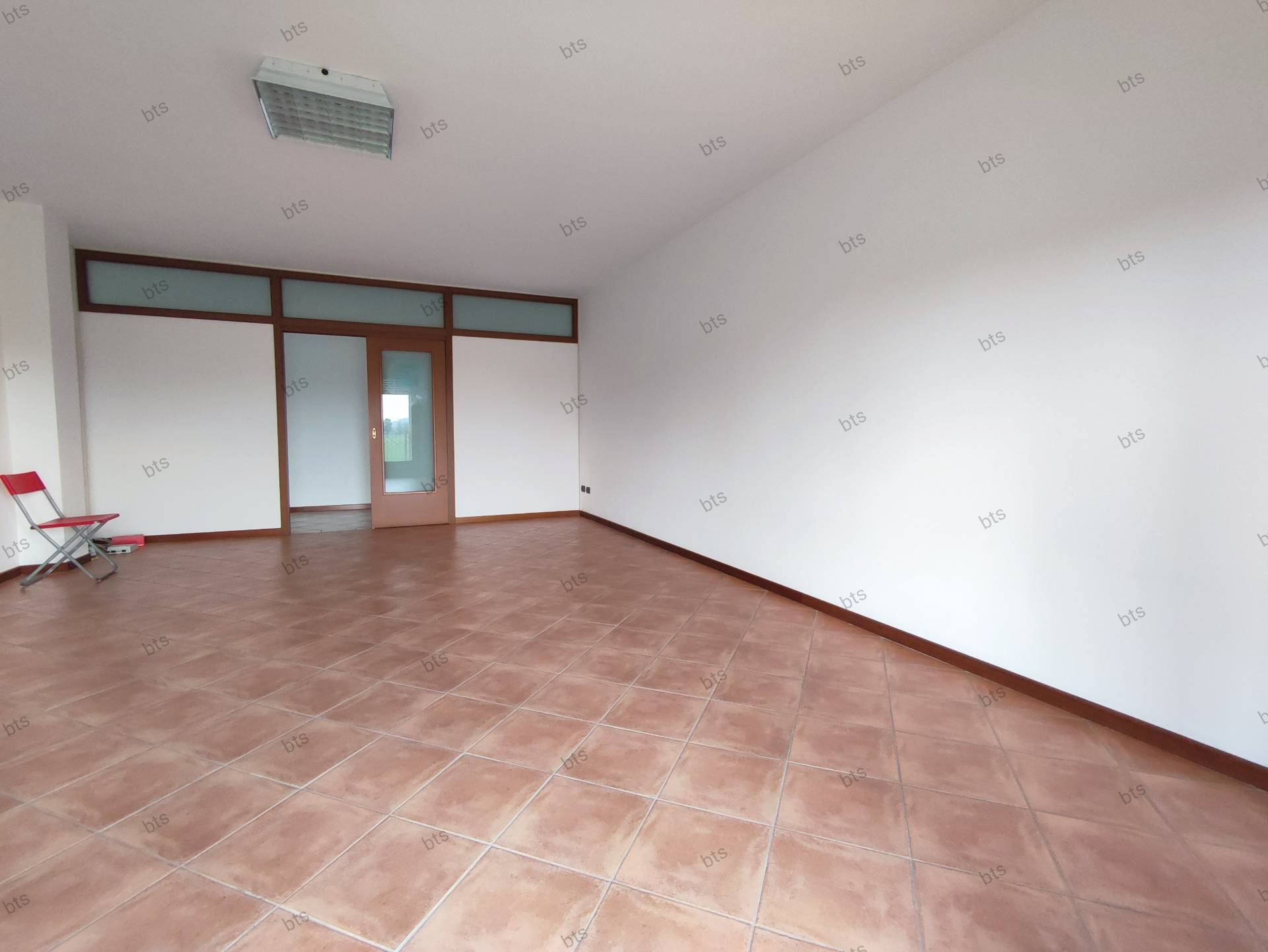 Appartamento in affitto a Capriolo