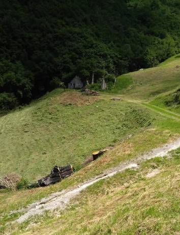 Terreno Agricolo in vendita a Adrara San Martino