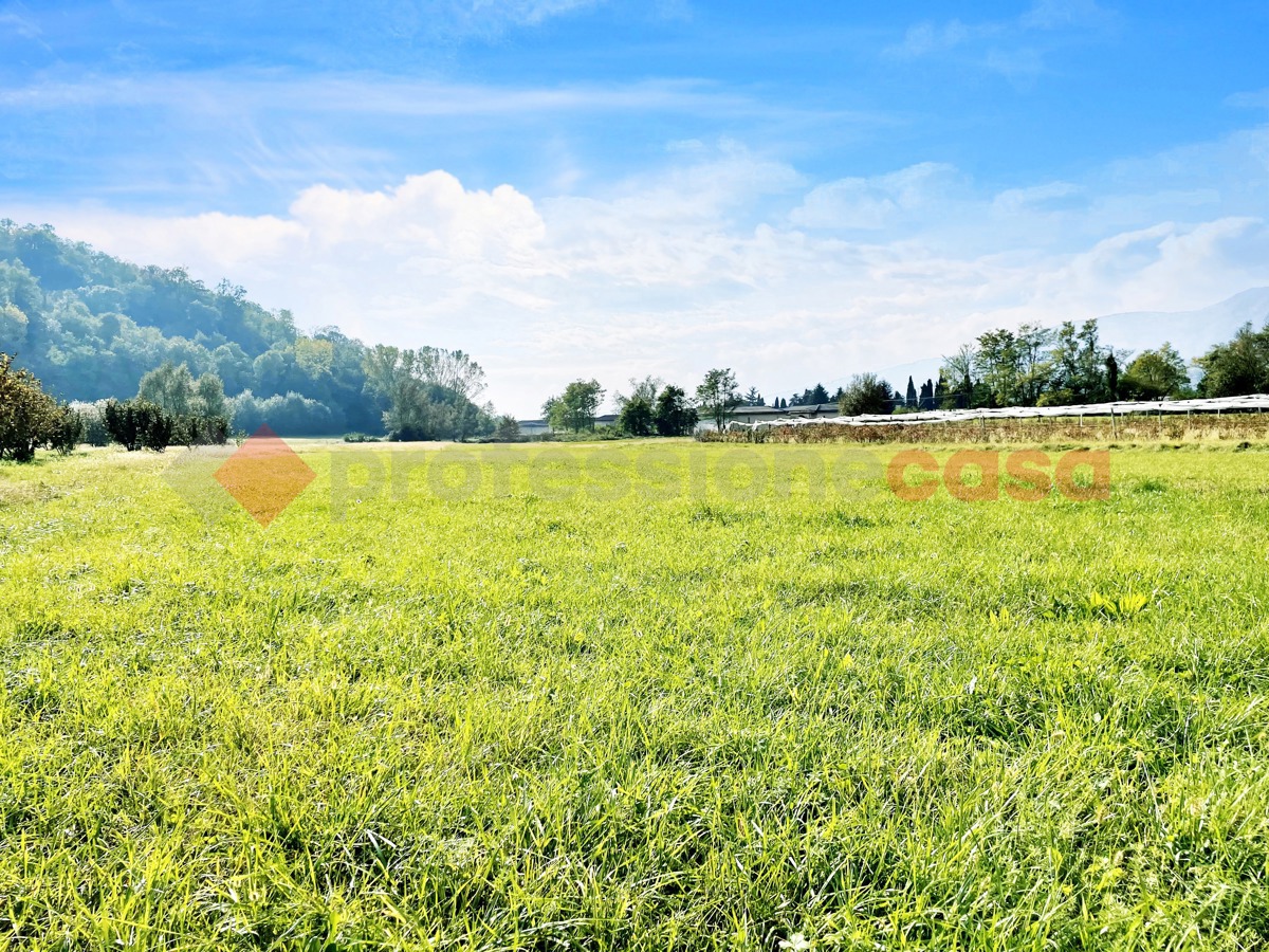 Terreno Agricolo in vendita a Pinerolo