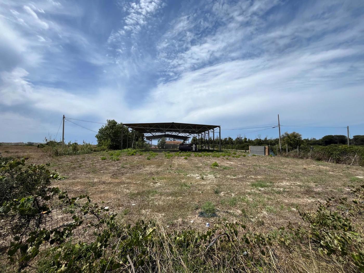 Capannone in affitto a Fiumicino