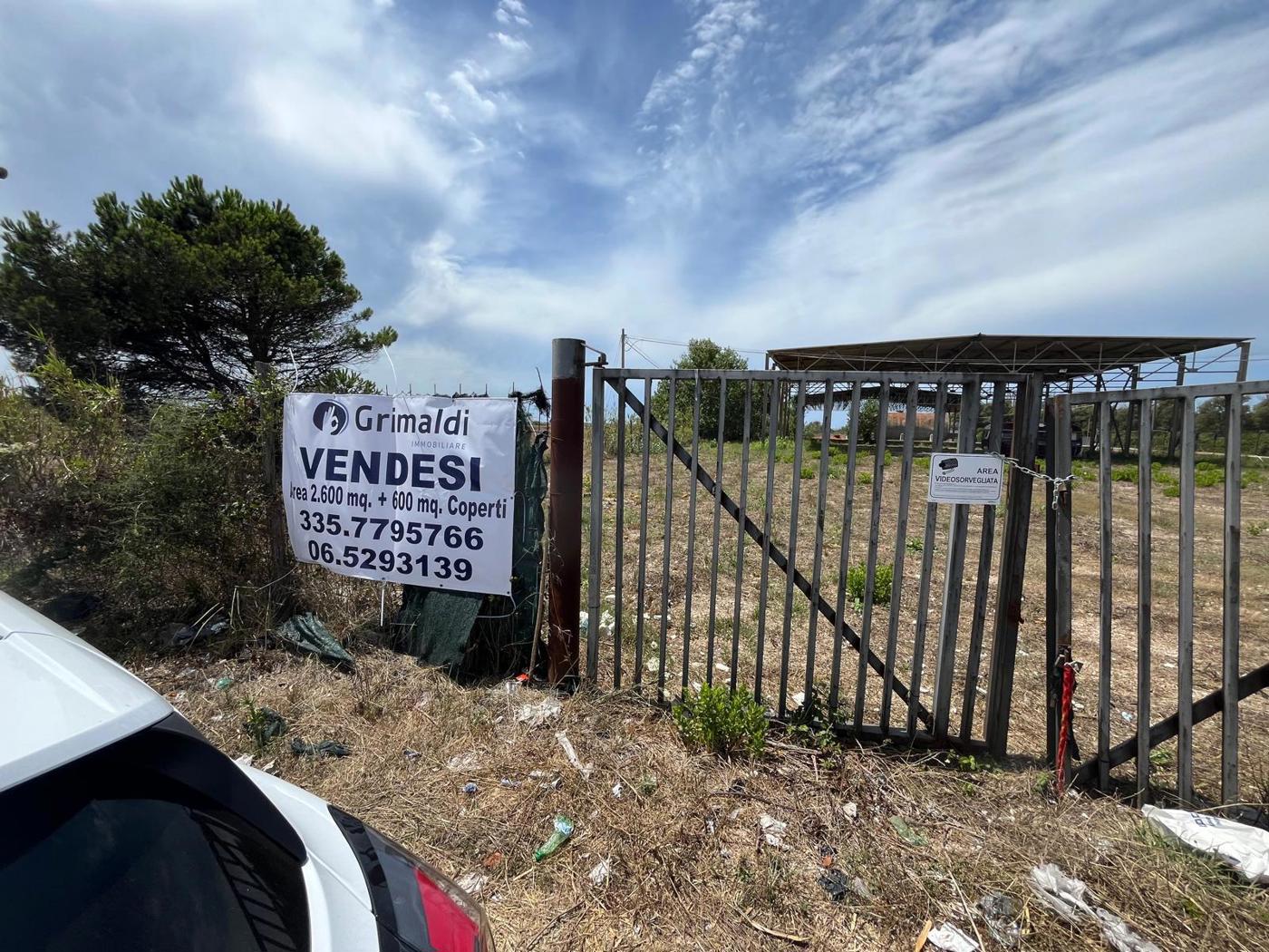 Capannone in affitto a Fiumicino