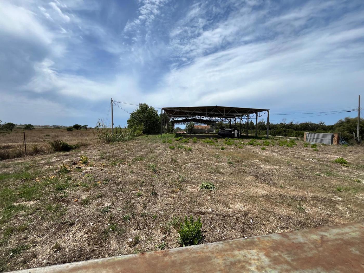 Capannone in affitto a Fiumicino