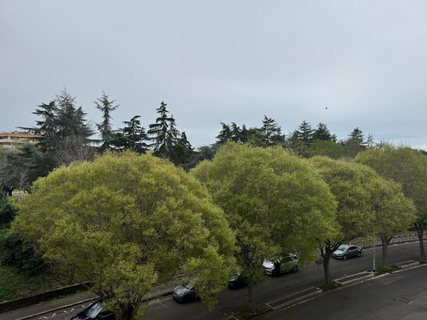 Bilocale con box a Roma