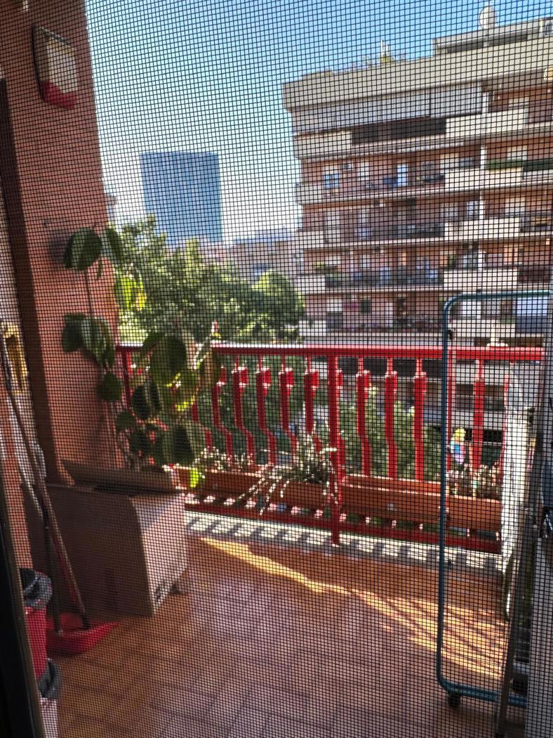 Bilocale in affitto a Roma