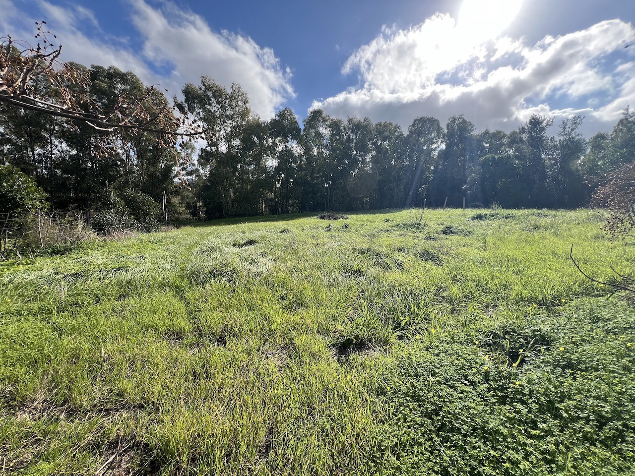 Terreno Edificabile in vendita a Castiadas