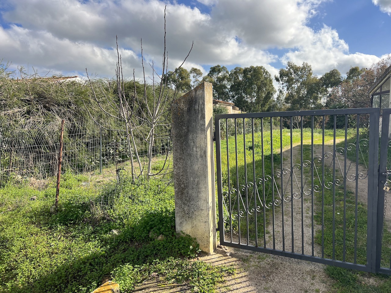 immagine annuncio 1 di 6