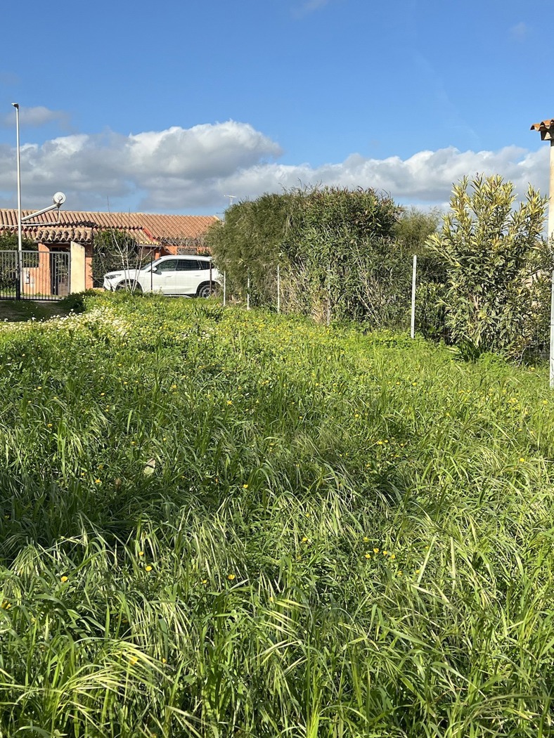 immagine annuncio 2 di 6