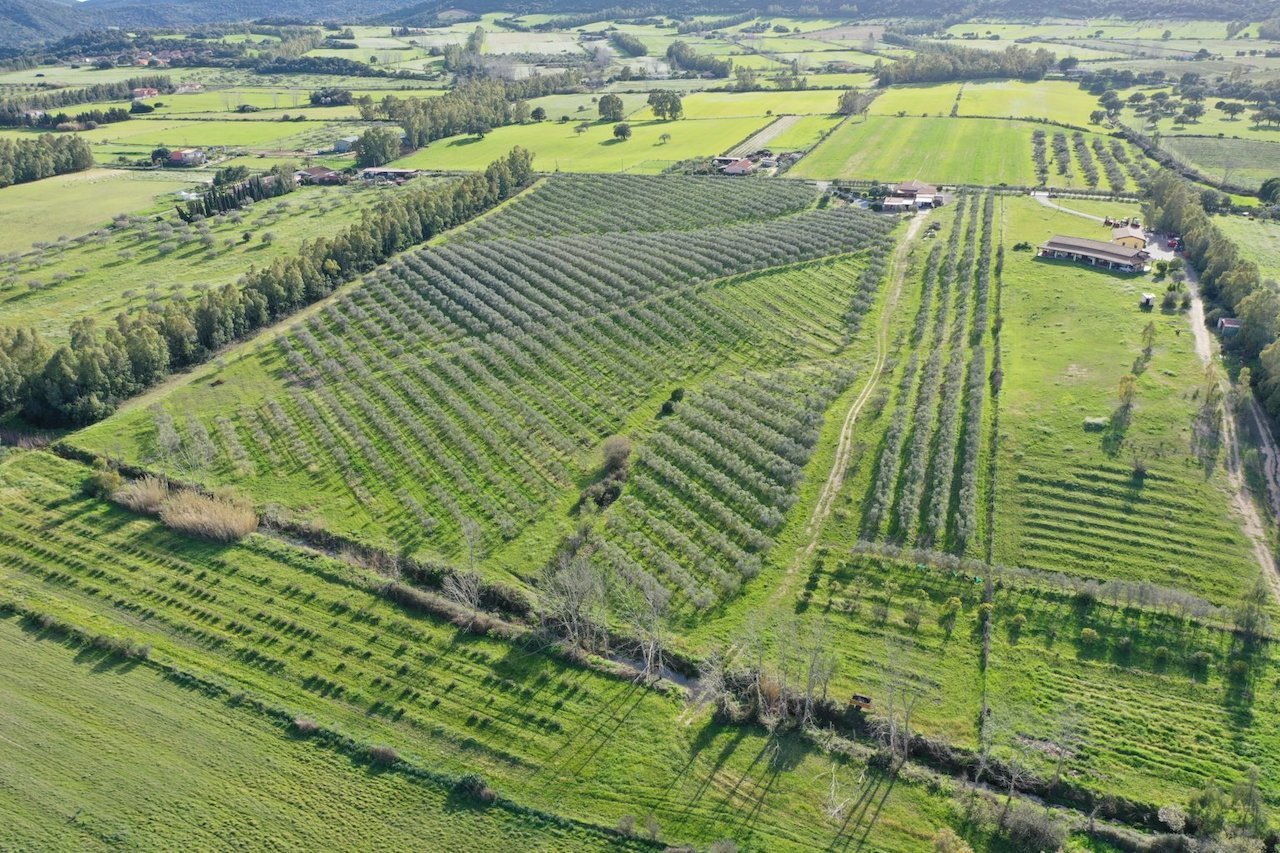 immagine annuncio 1 di 6