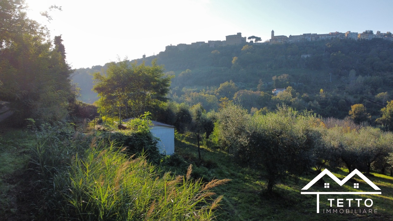 Terreno in vendita a Stimigliano