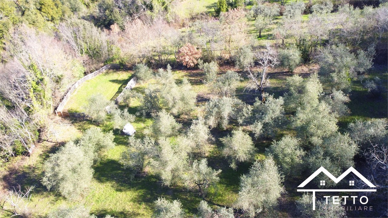 Terreno in vendita a Roccantica