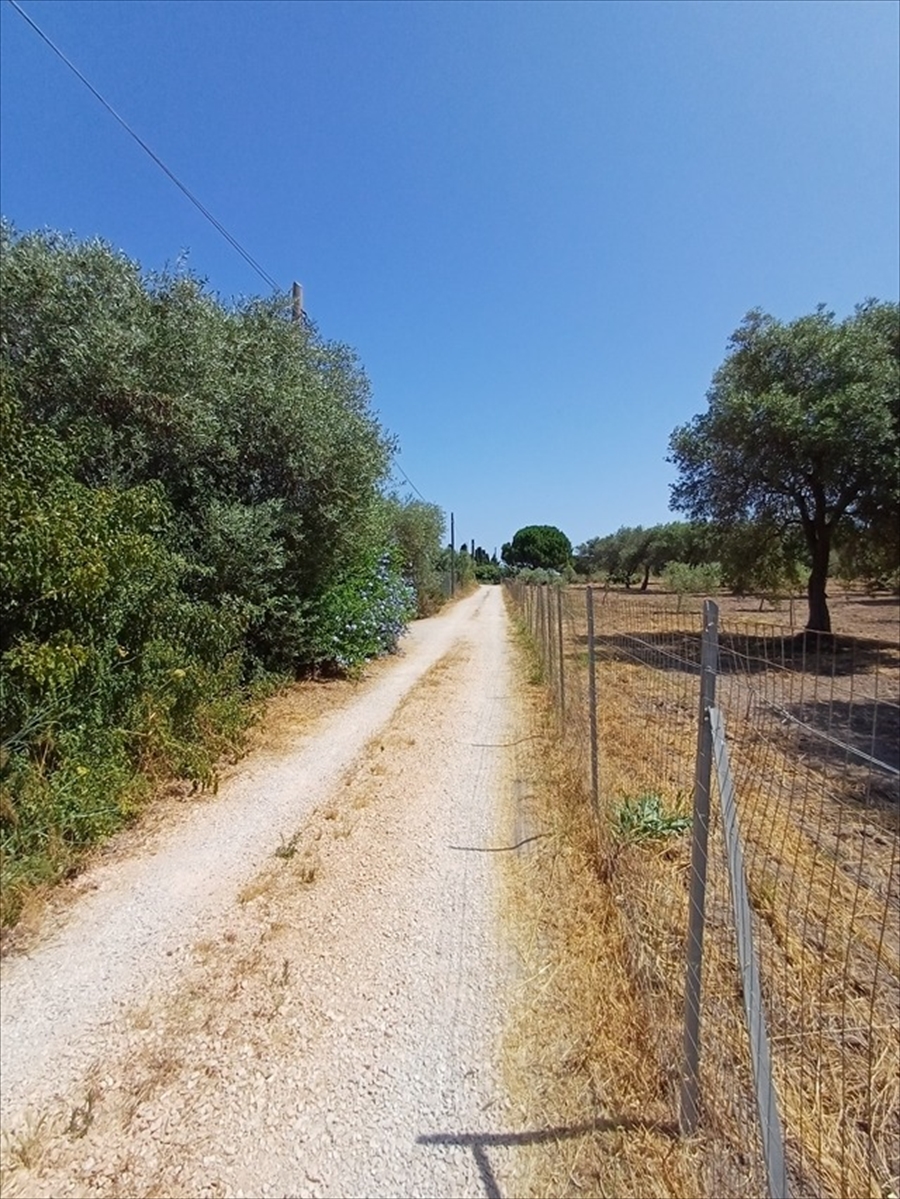 Box/Garage 30mq con giardino in sorso badde fustiggiu 