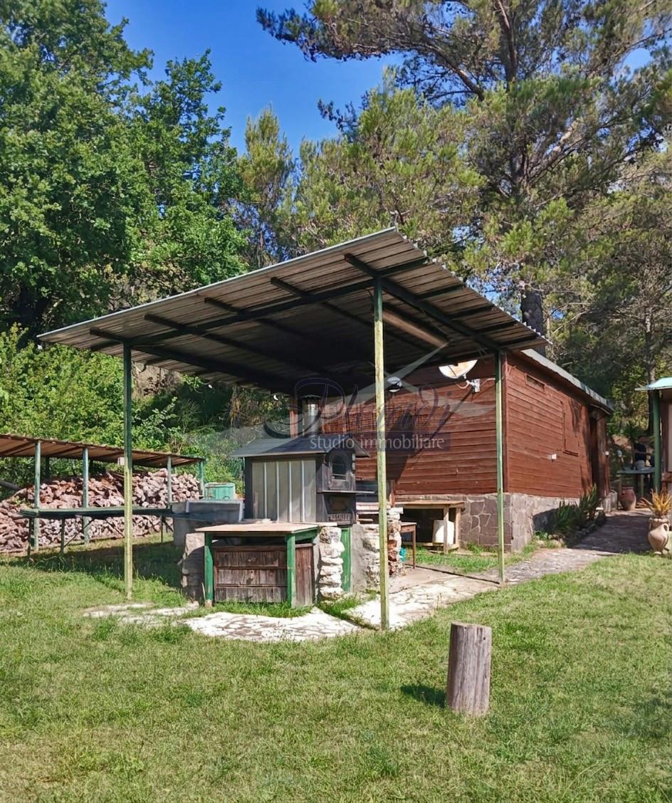 Terreno Agricolo in vendita, Livorno castellaccio