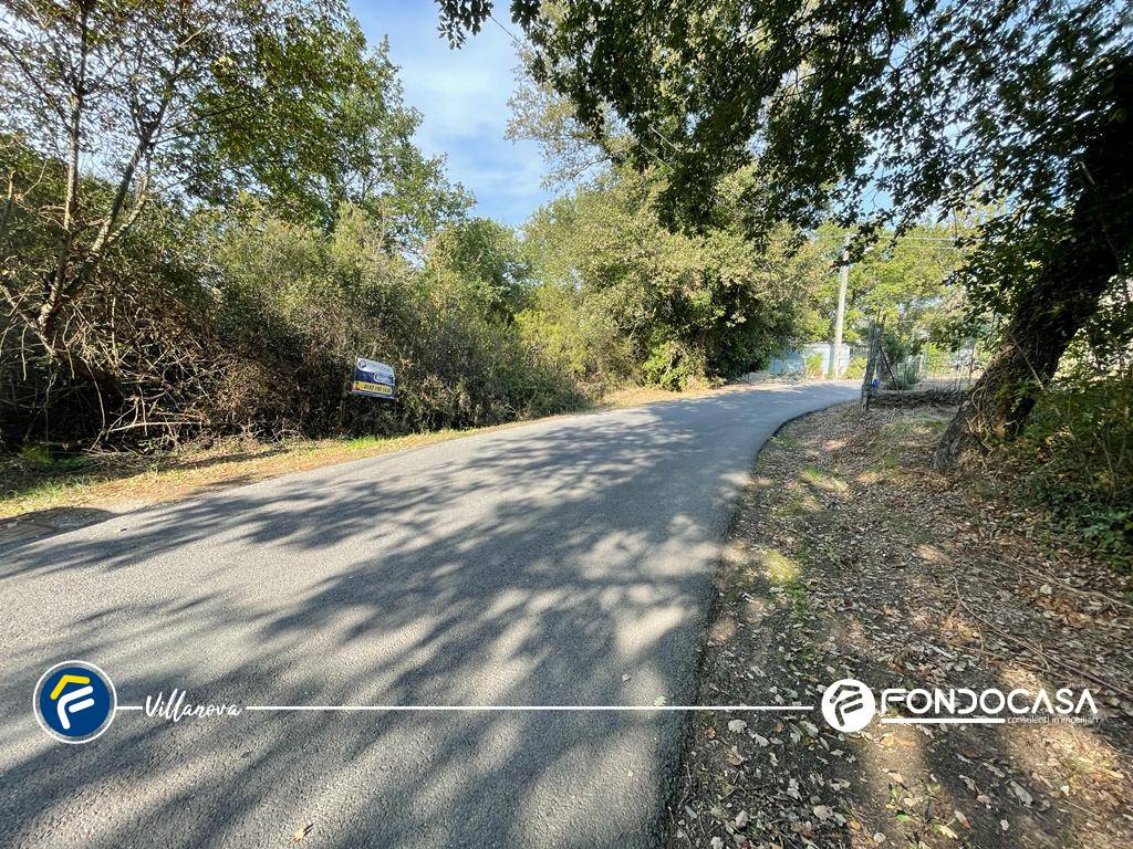 Terreno Agricolo in vendita a Villanova d'Albenga, Bossoleto