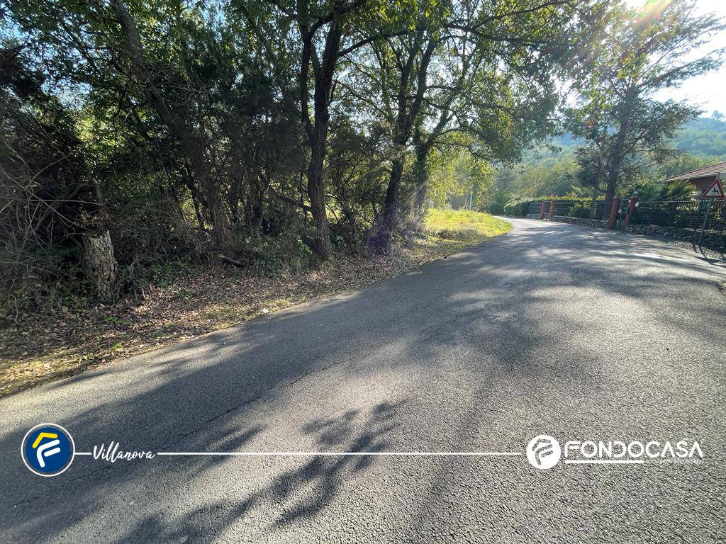 Terreno Agricolo in vendita a Villanova d'Albenga, Bossoleto