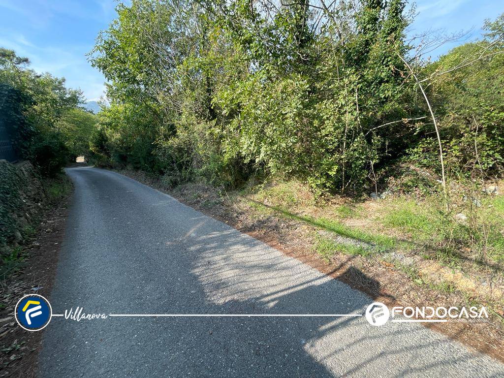 Terreno Agricolo in vendita a Villanova d'Albenga, Bossoleto