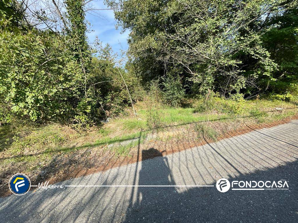 Terreno Agricolo in vendita a Villanova d'Albenga, Bossoleto