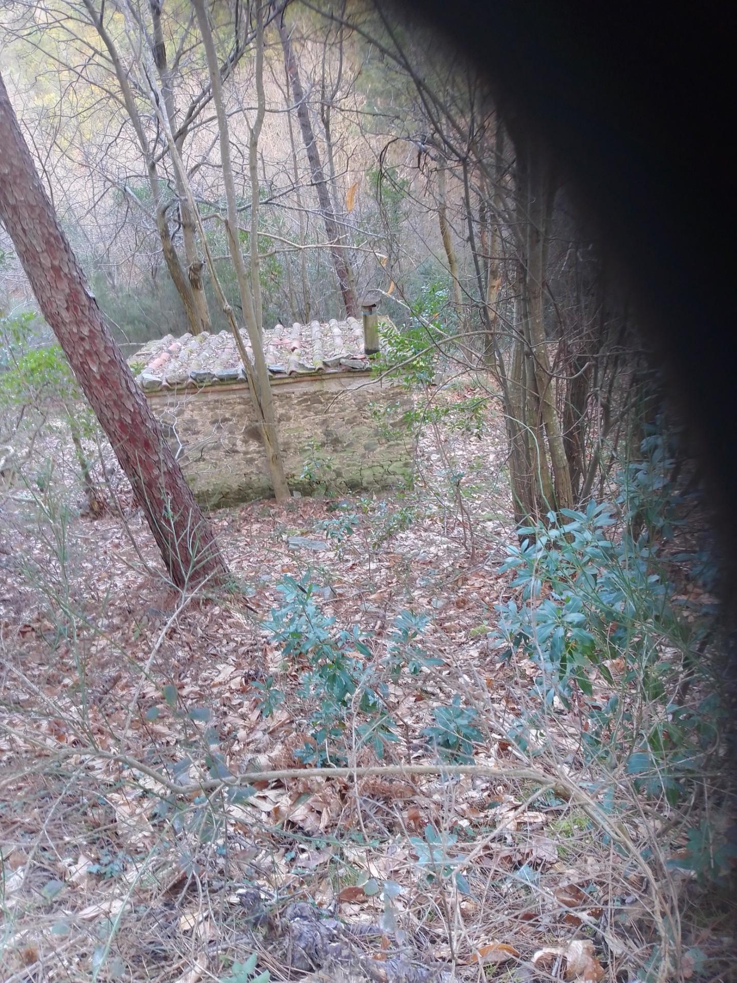 Terreno Agricolo in vendita, Capannori vorno