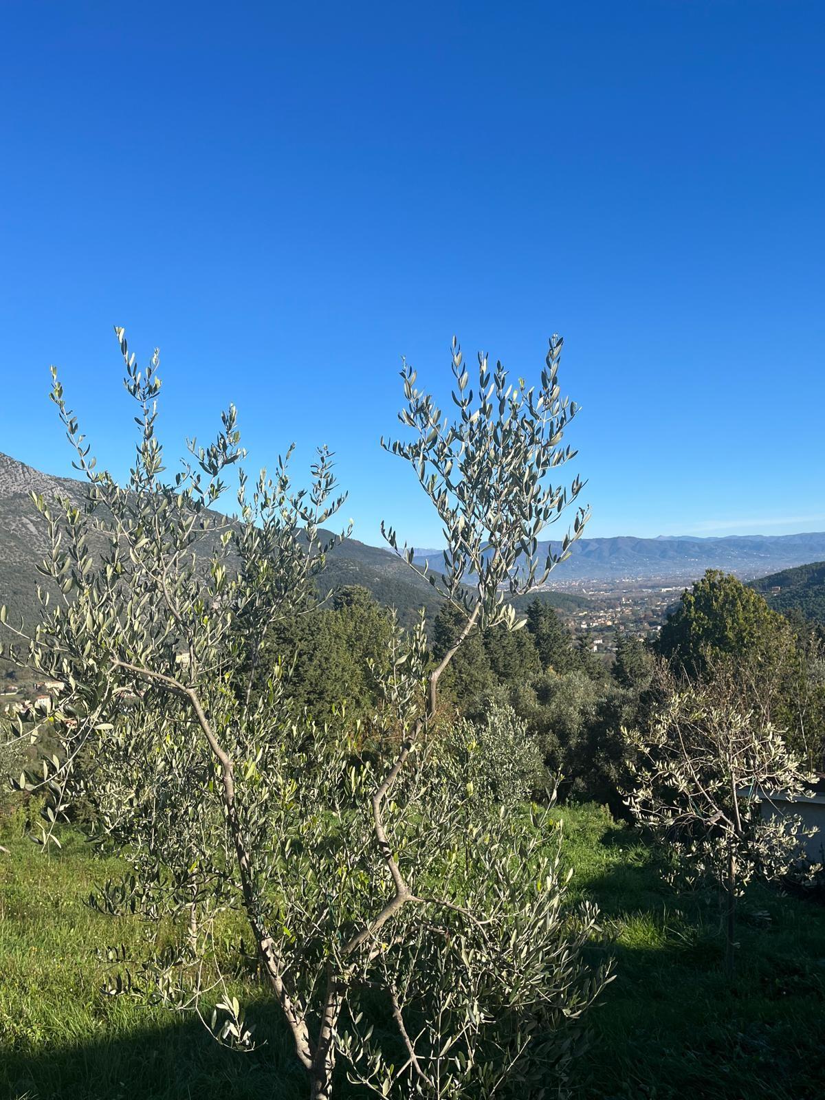 Rustico con terrazzo, Lucca san lorenzo a vaccoli
