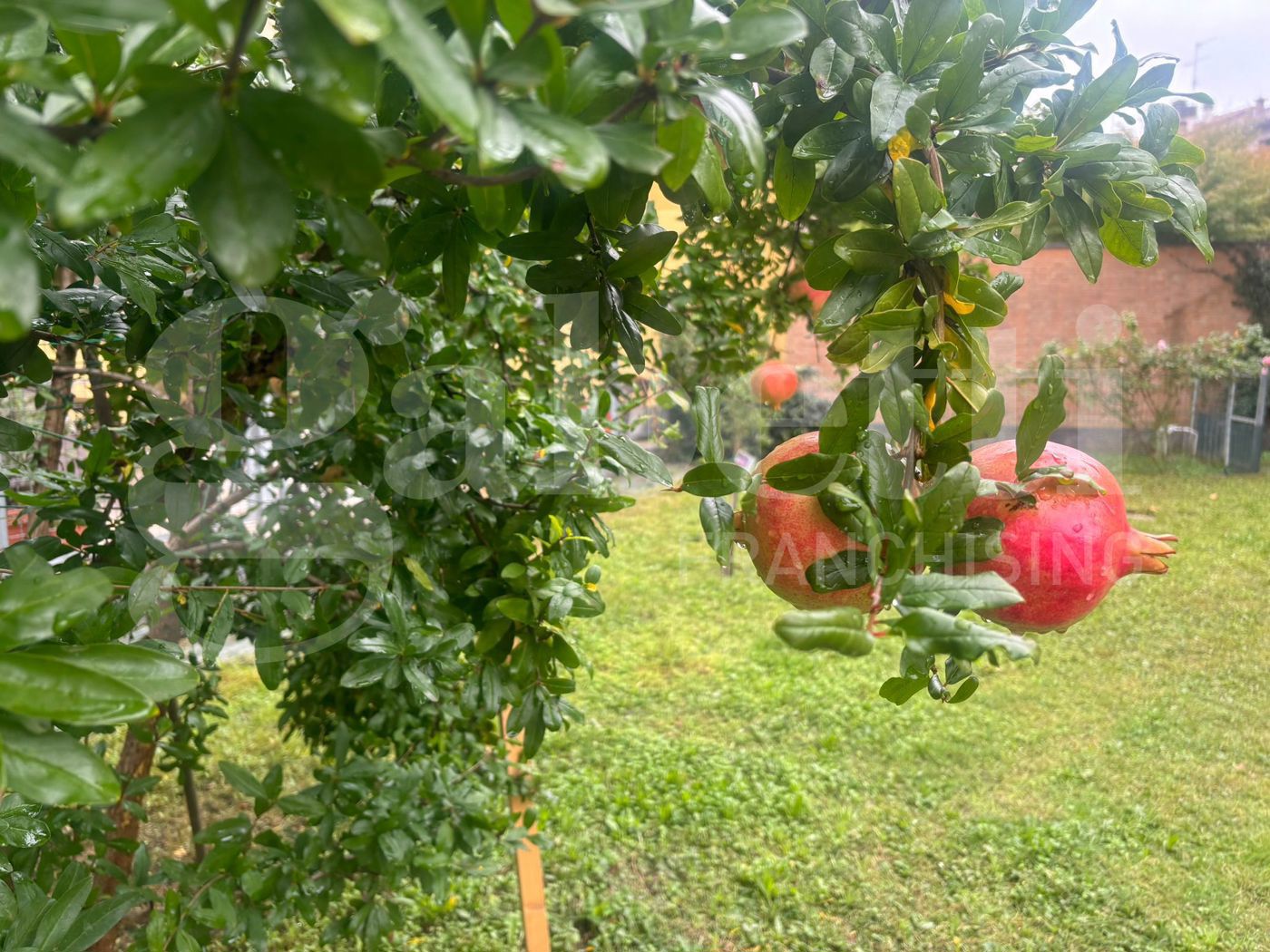 Villa in vendita a Riolo Terme