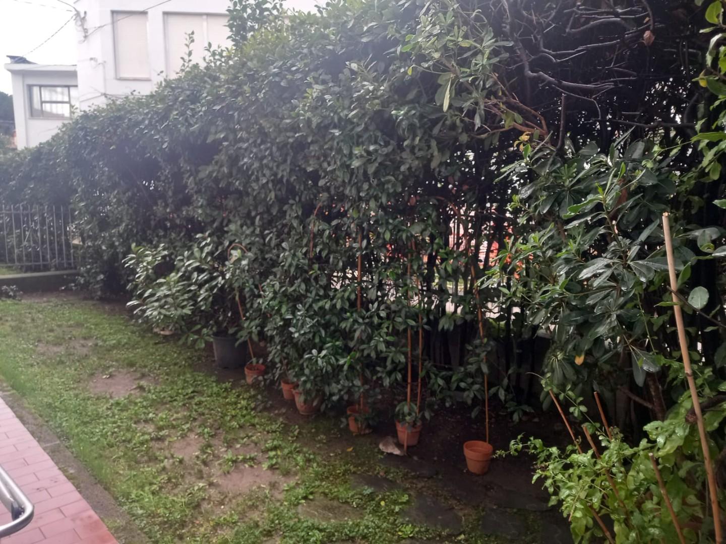 Quadrilocale con giardino a Massa