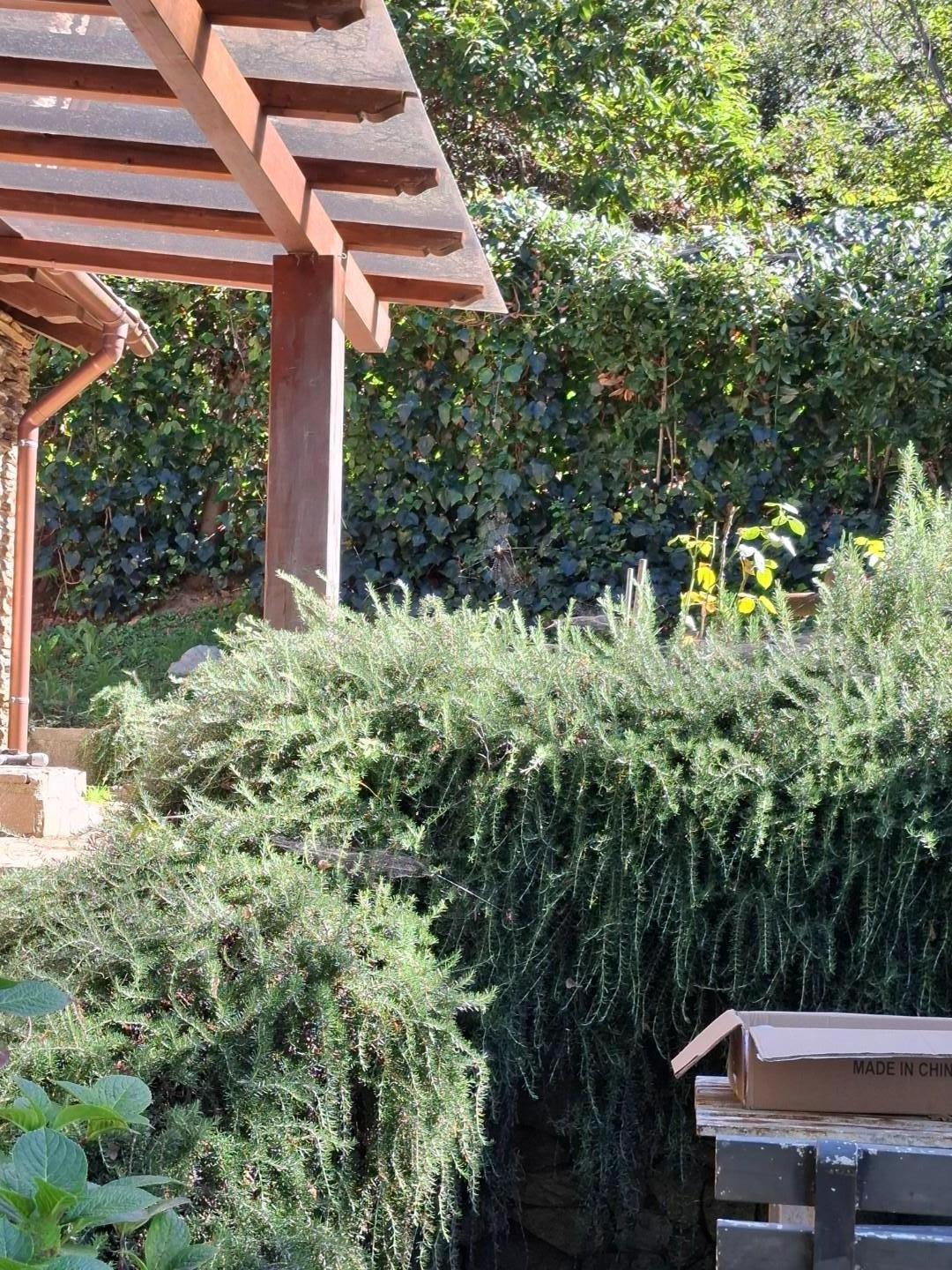 Casa indipendente con giardino, Montignoso rifugio pasquilio