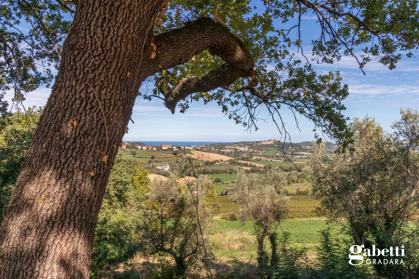 Villa con giardino a Gabicce Mare