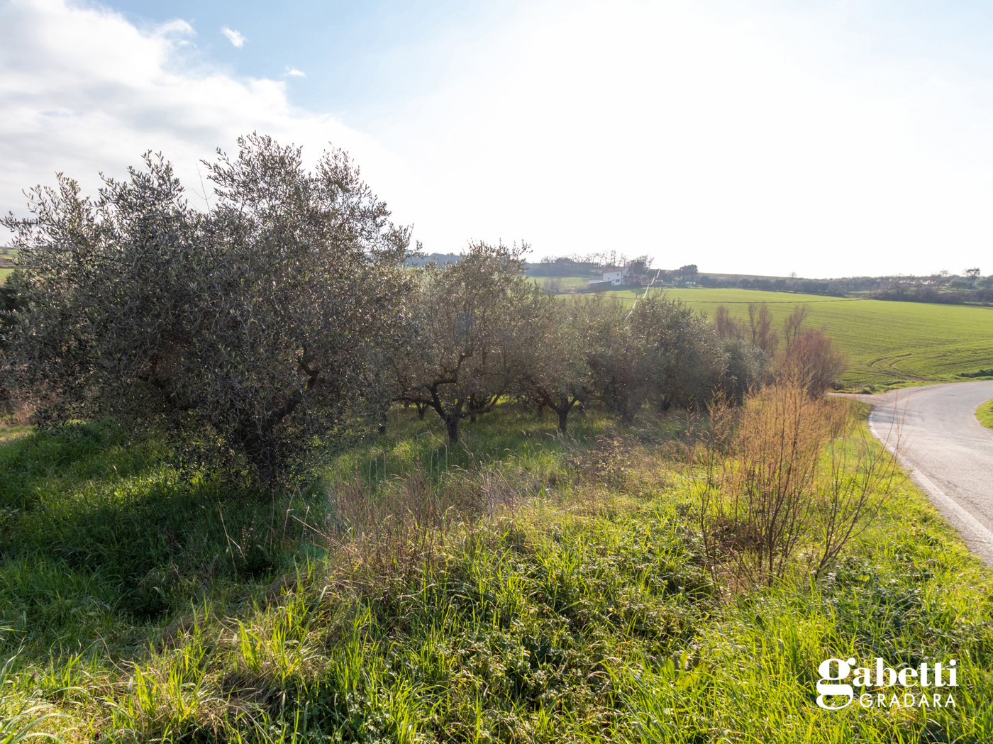 Terreno Agricolo in vendita a San Giovanni in Marignano