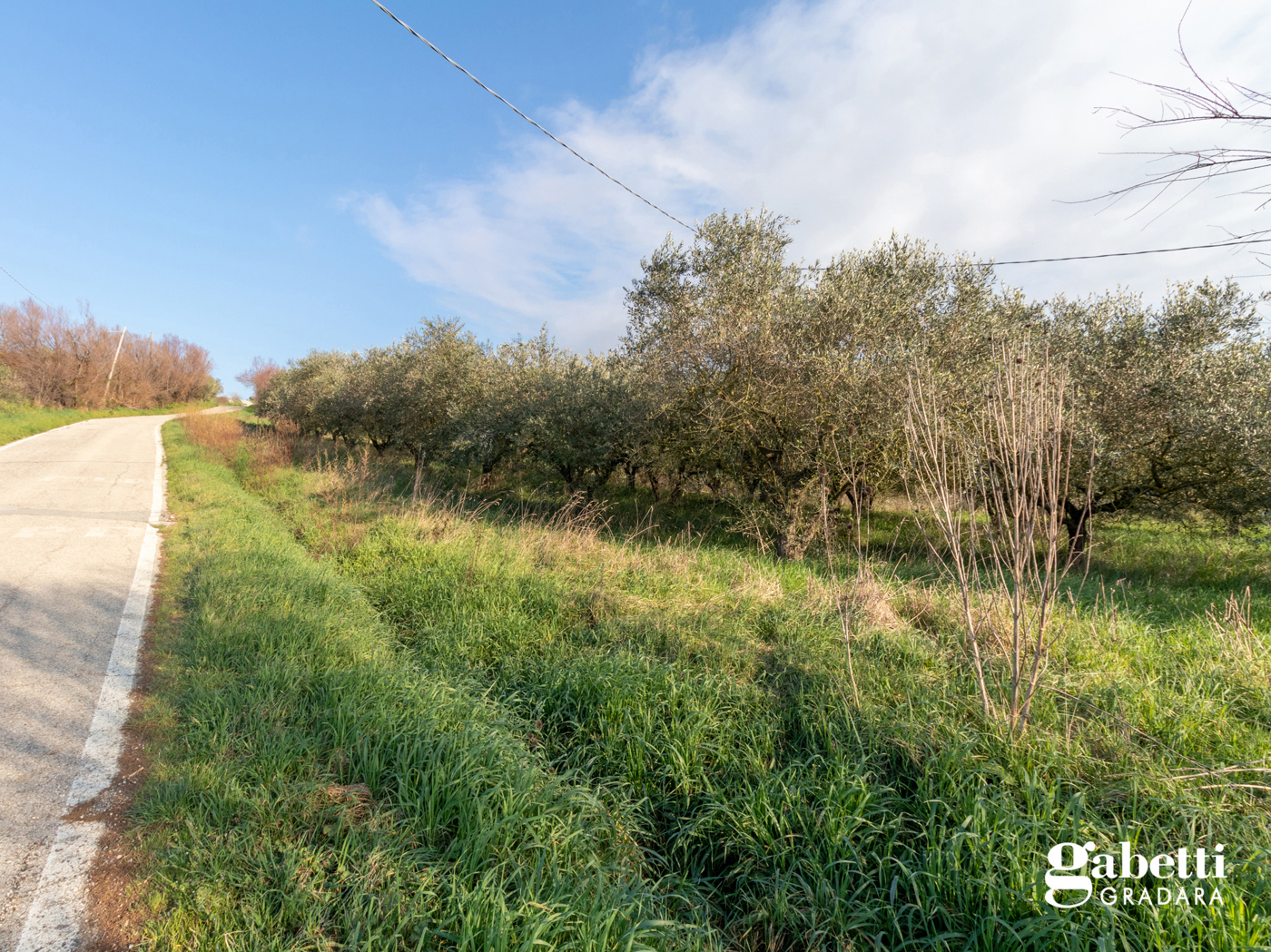 Terreno Agricolo in vendita a San Giovanni in Marignano