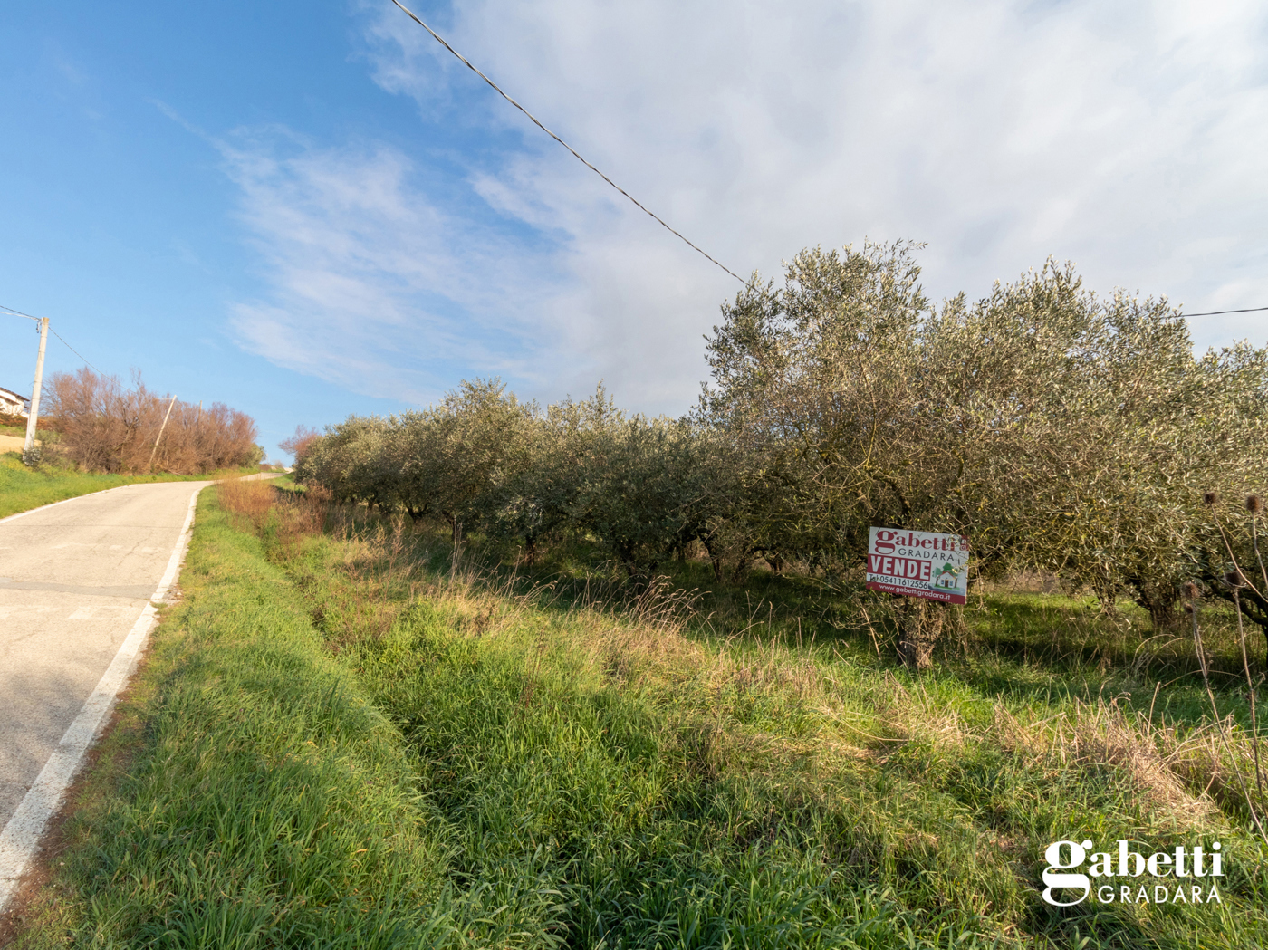 Terreno Agricolo in vendita a San Giovanni in Marignano