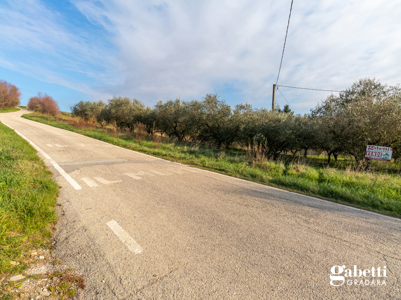 Terreno Agricolo in vendita a San Giovanni in Marignano