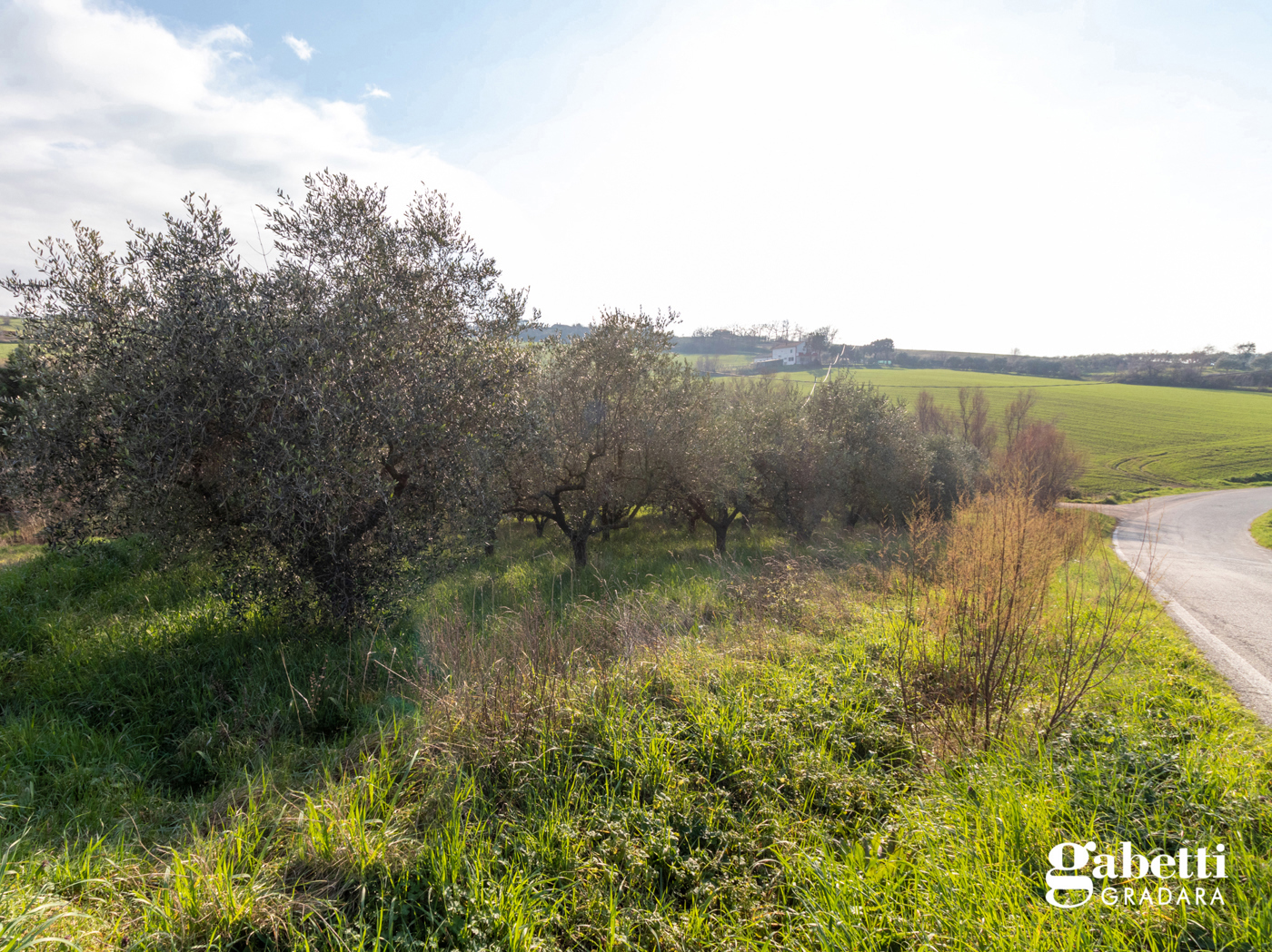 Terreno Agricolo in vendita a San Giovanni in Marignano