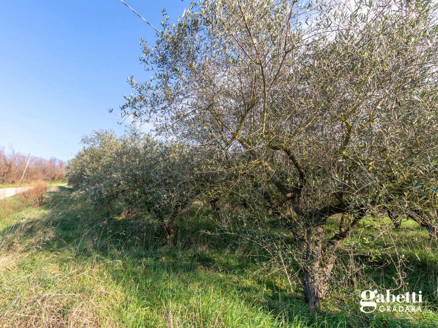 Terreno Agricolo in vendita a San Giovanni in Marignano