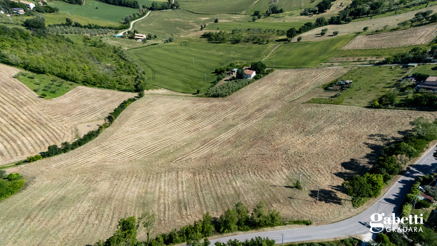 Terreno Agricolo in vendita a Gradara