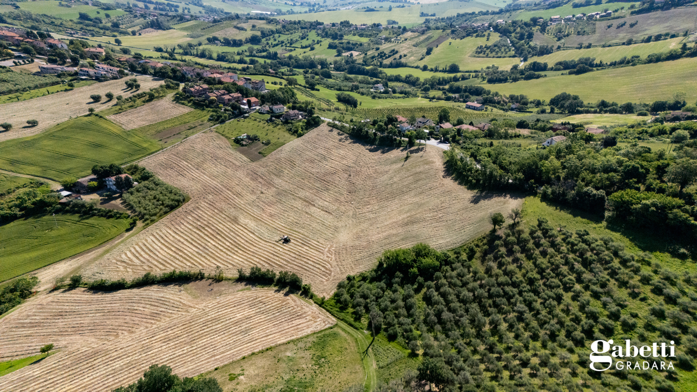 Terreno Agricolo in vendita a Gradara