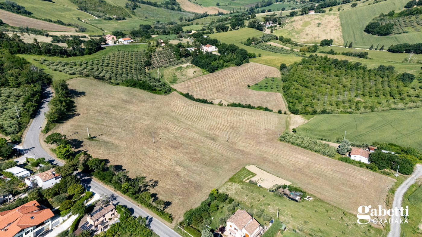 Terreno Agricolo in vendita a Gradara