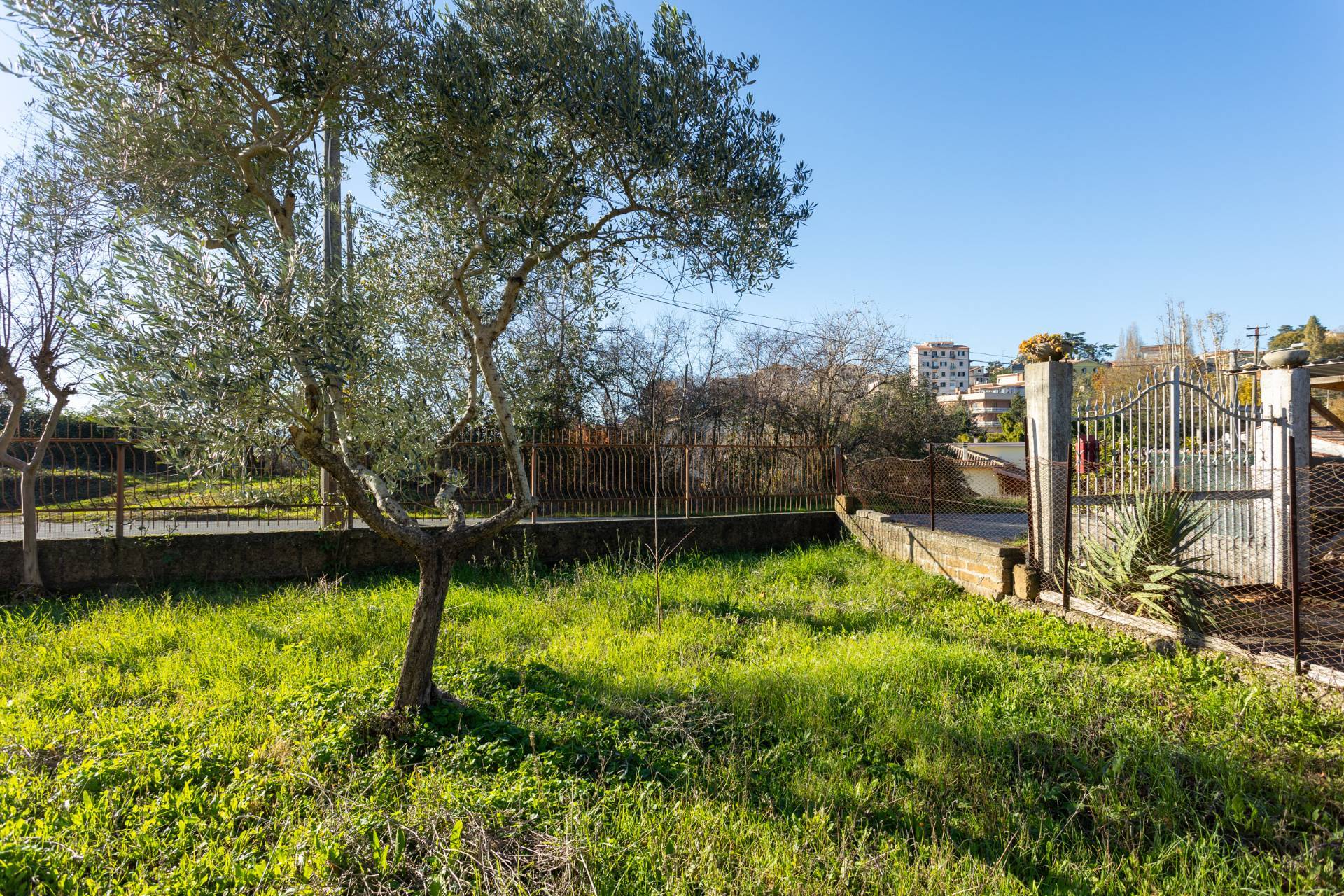 immagine annuncio 3 di 6