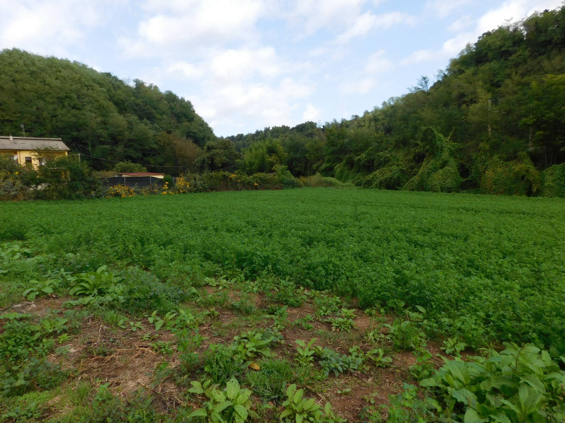 Terreno Agricolo in vendita a Valmontone