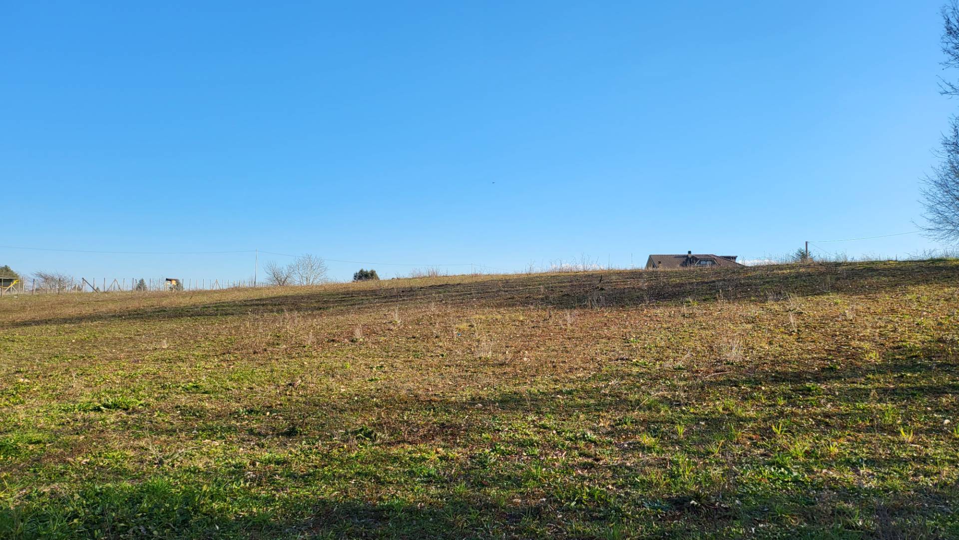 Terreno Agricolo in vendita a Valmontone