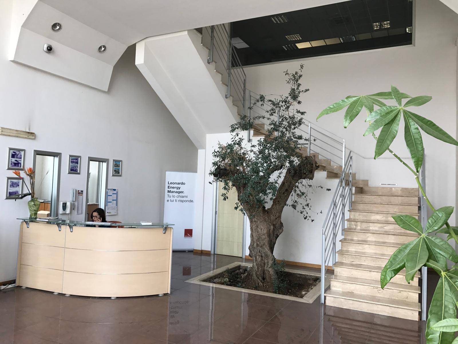 Capannone in vendita a Palestrina