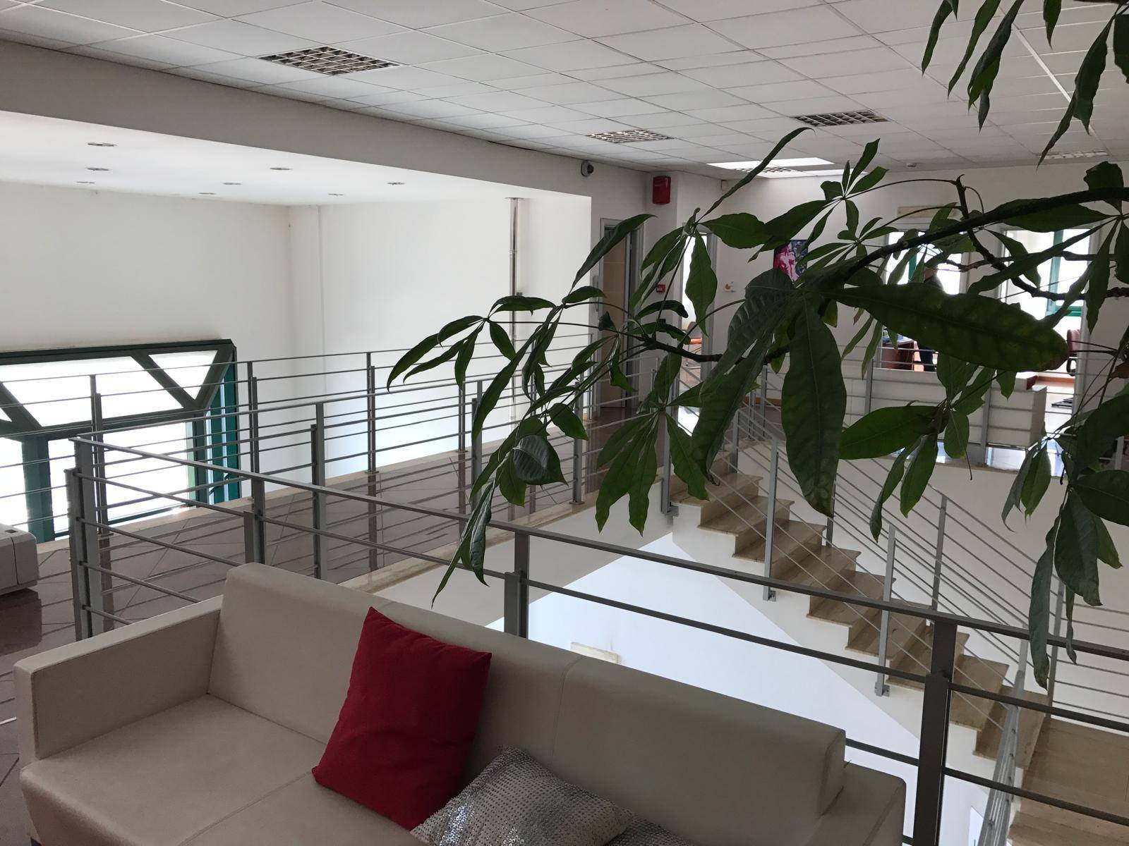 Capannone in vendita a Palestrina