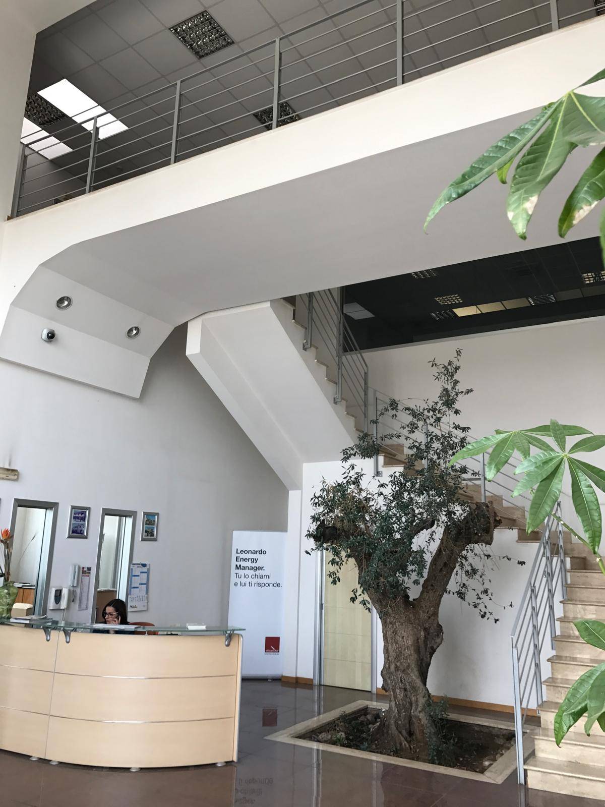 Capannone in vendita a Palestrina