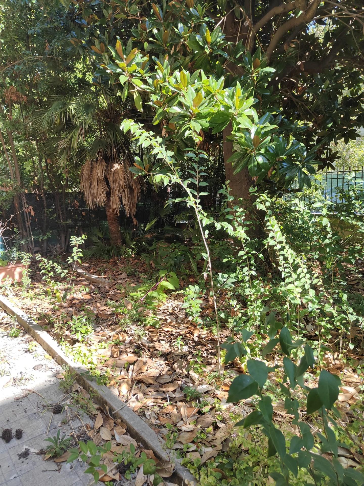 Quadrilocale con giardino, Pisa porta a lucca