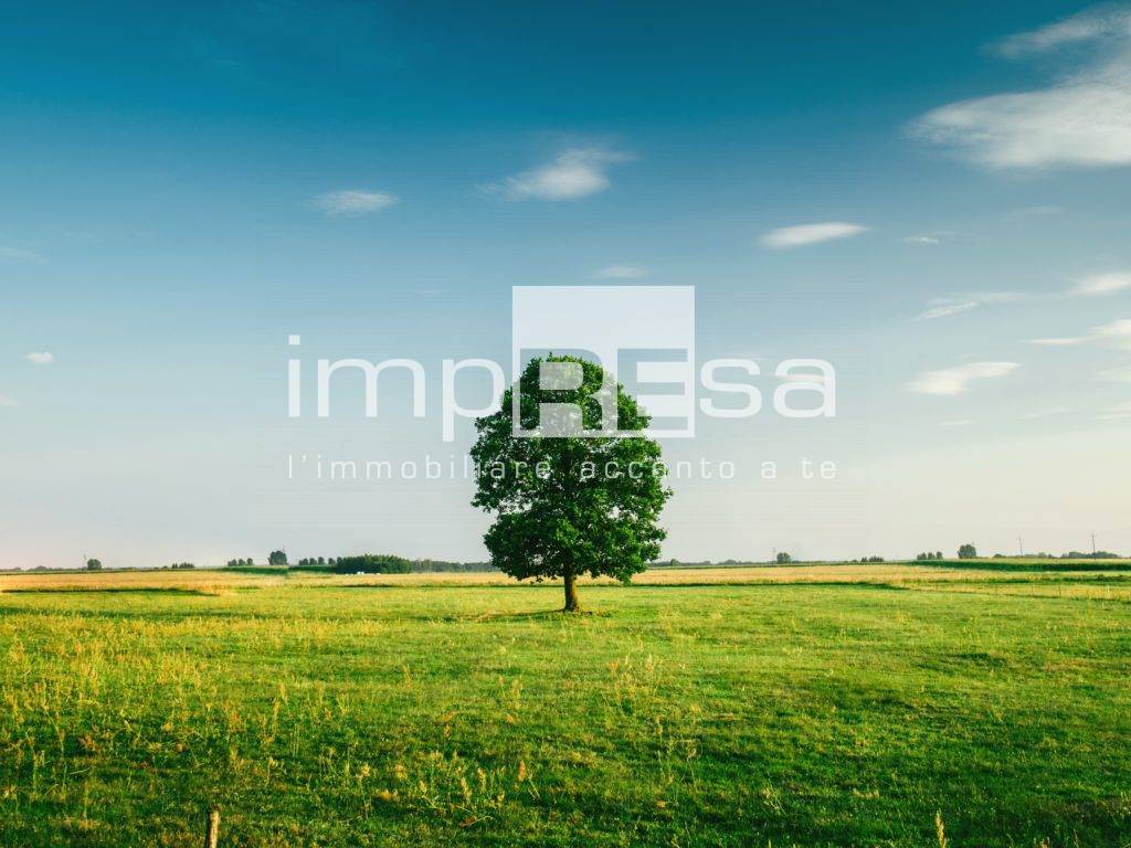 Terreno edificabile residenziale in vendita a San Polo di Piave, Rai