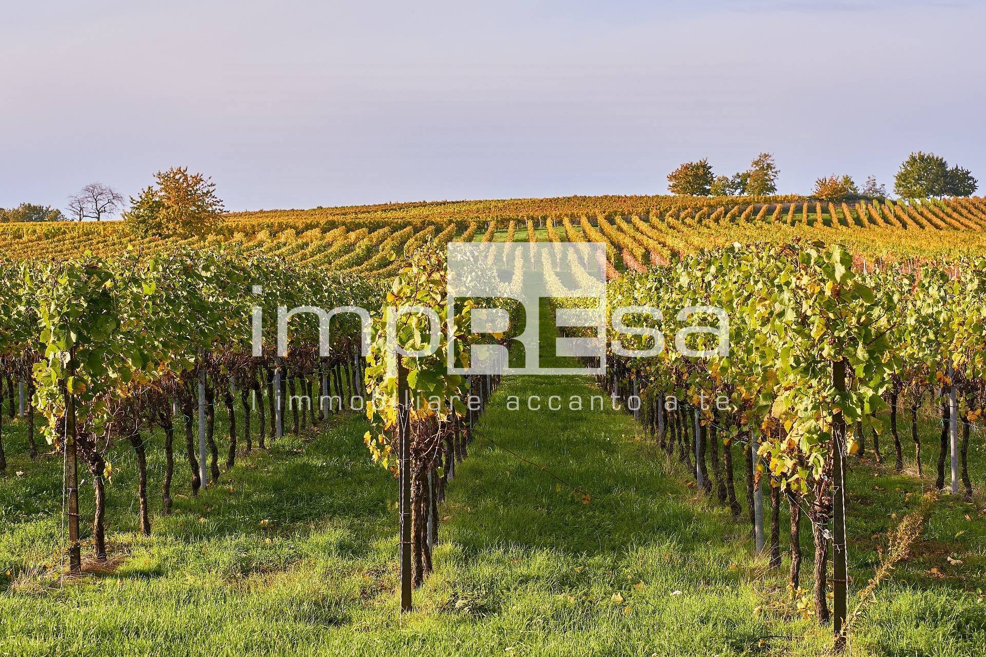 Terreno Agricolo in vendita a Ormelle