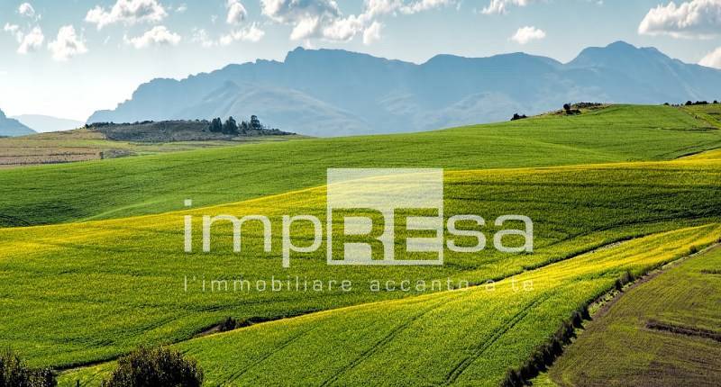 Terreno Agricolo in vendita a Ormelle