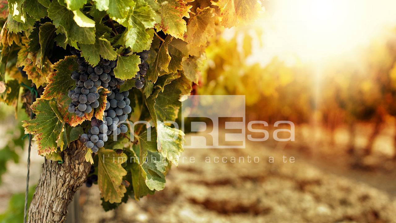 Terreno Agricolo in vendita a Ormelle, Tempio